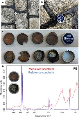 Bitumen-based plastitar: a novel plastic form variant in terrestrial environments
